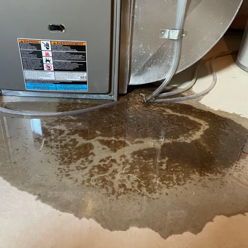 Appliance Leak Cleanup in Saint Johns, MI